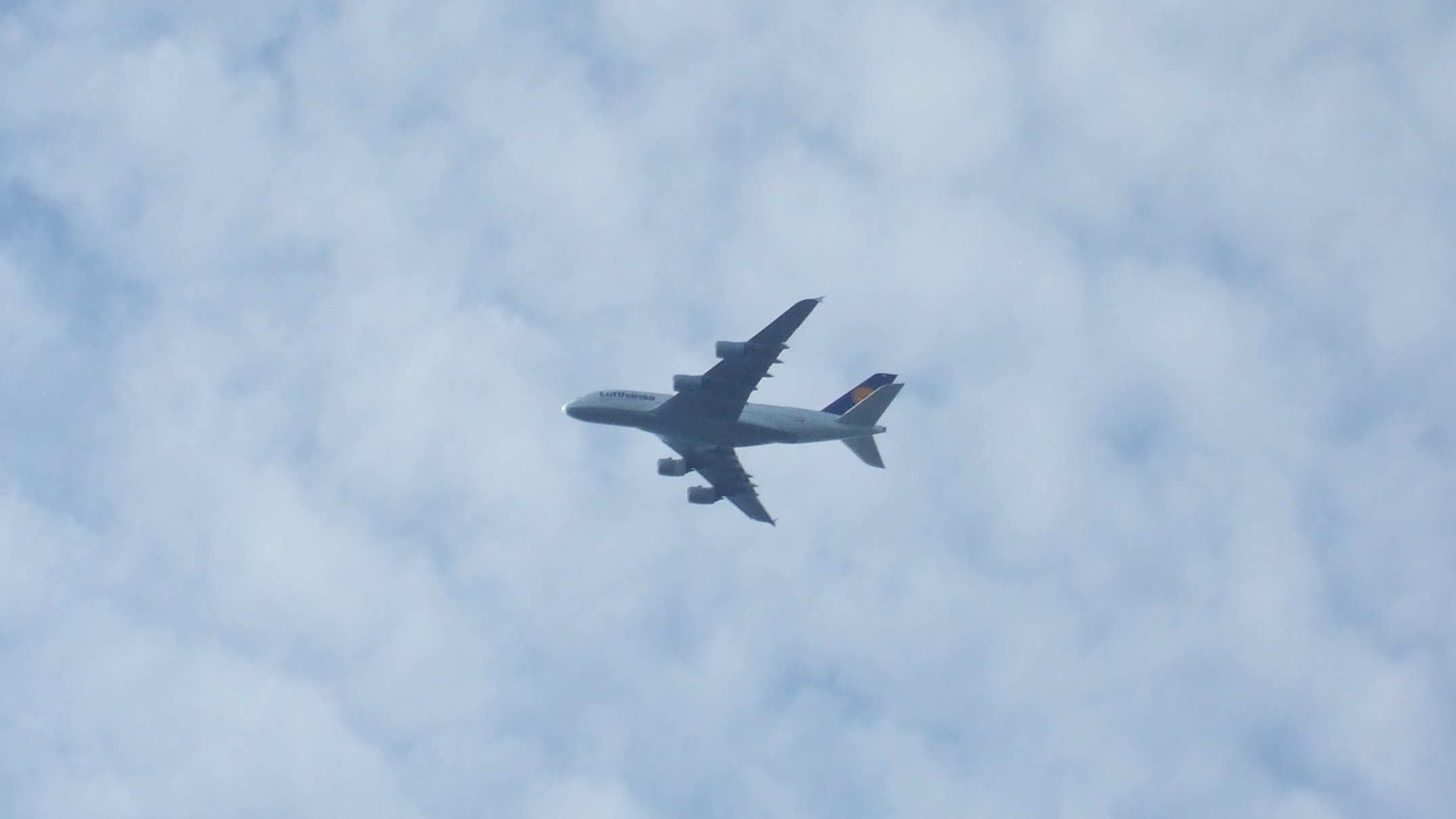 airplane